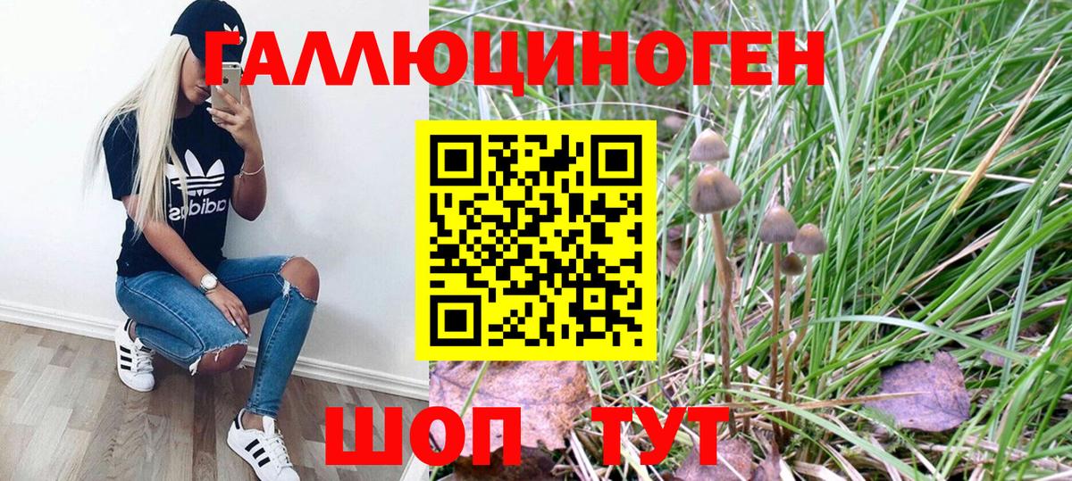 Псилоцибиновые грибы GOLDEN TEACHER Сосновый Бор