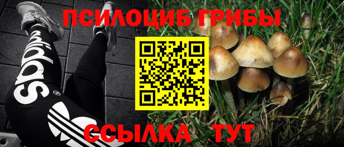 Сосновый Бор  Псилоцибиновые грибы ЛСД  Вход с VPN 